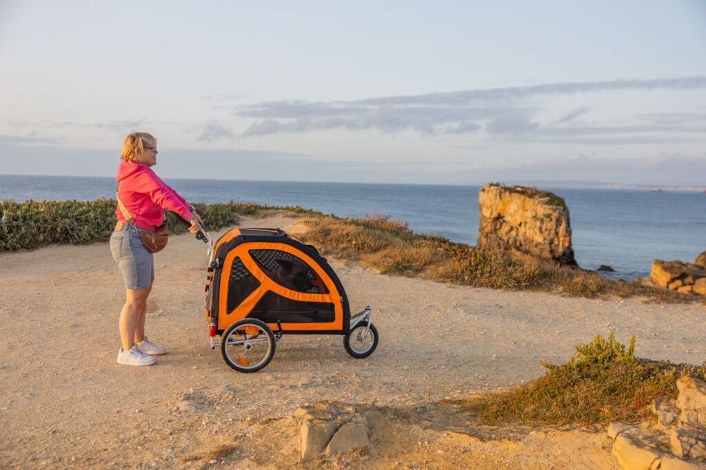 BX7A3084 Hundebuggy, Dogbus L, Trendpet, Küstenweg