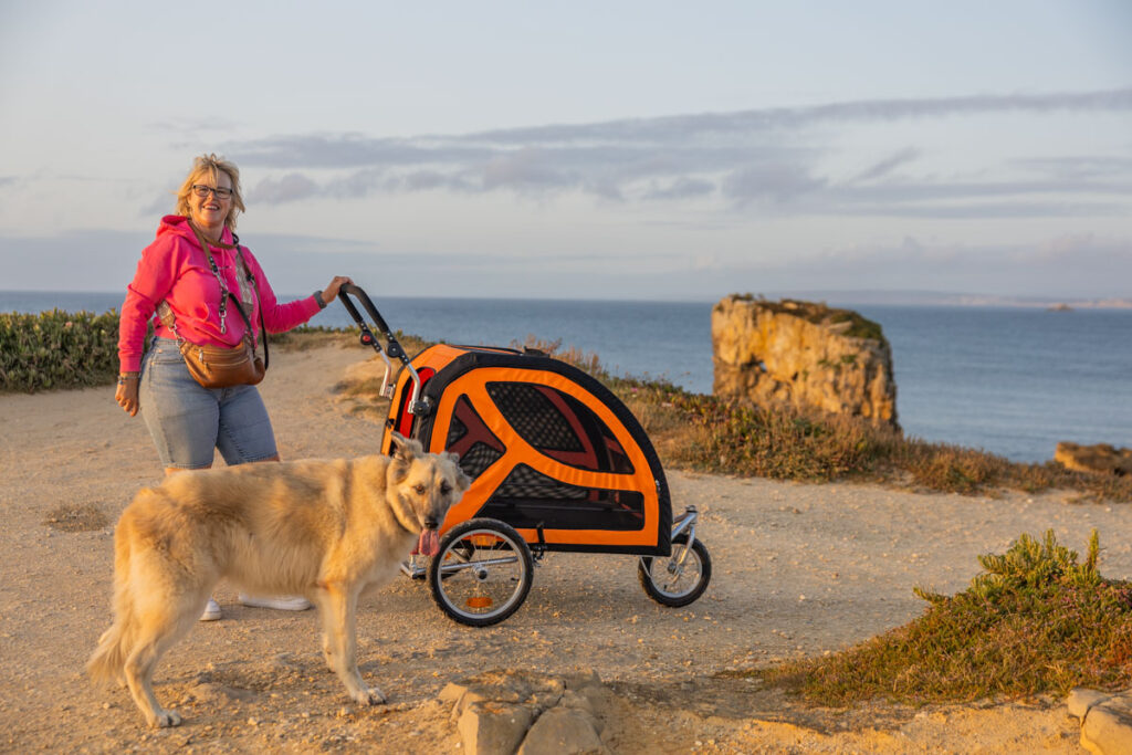 BX7A3089 Hundebuggy, Dogbus L, Trendpet, Küstenweg
