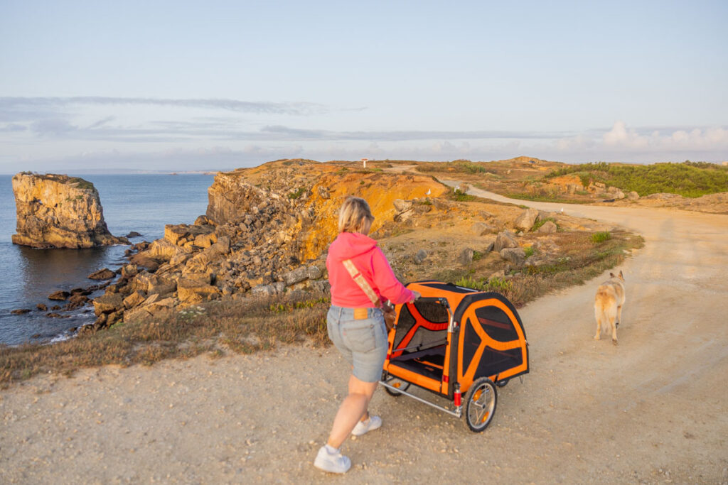 BX7A3091 Hundebuggy, Dogbus L, Trendpet, Küstenweg