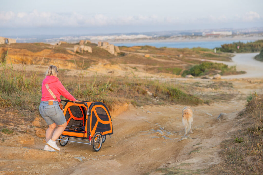 BX7A3114 Hundebuggy, Dogbus L, Trendpet, Küstenweg