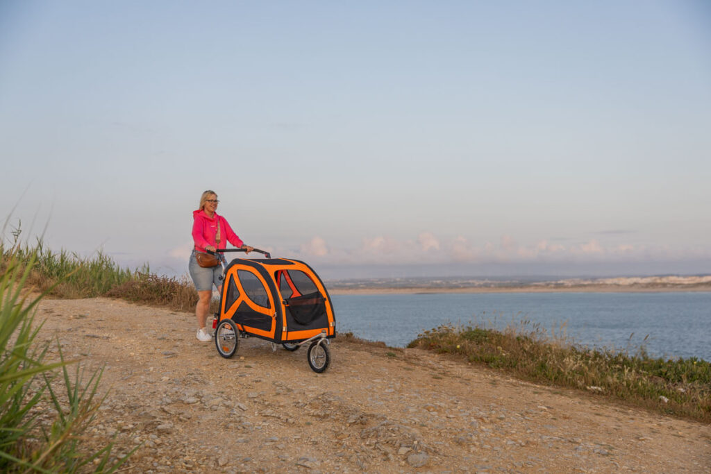 BX7A3119 Hundebuggy, Dogbus L, Trendpet, Küstenweg