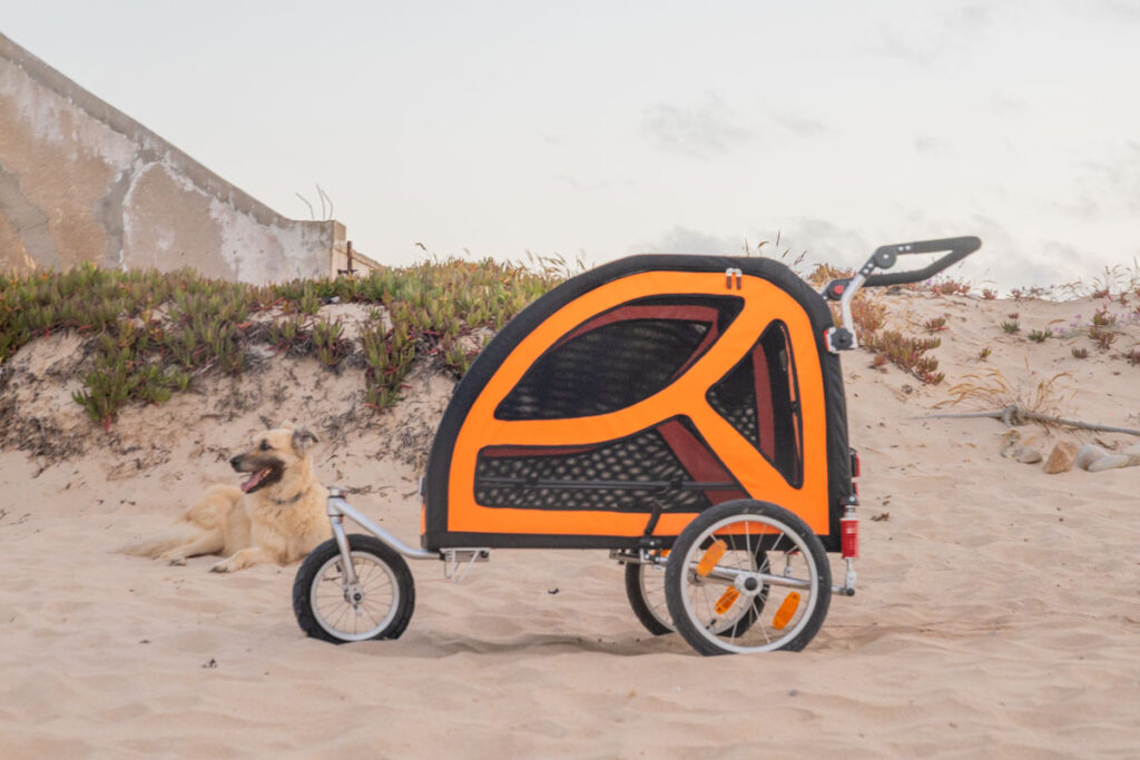 BX7A3157 Hundebuggy, Dogbus L, Trendpet, Küstenweg