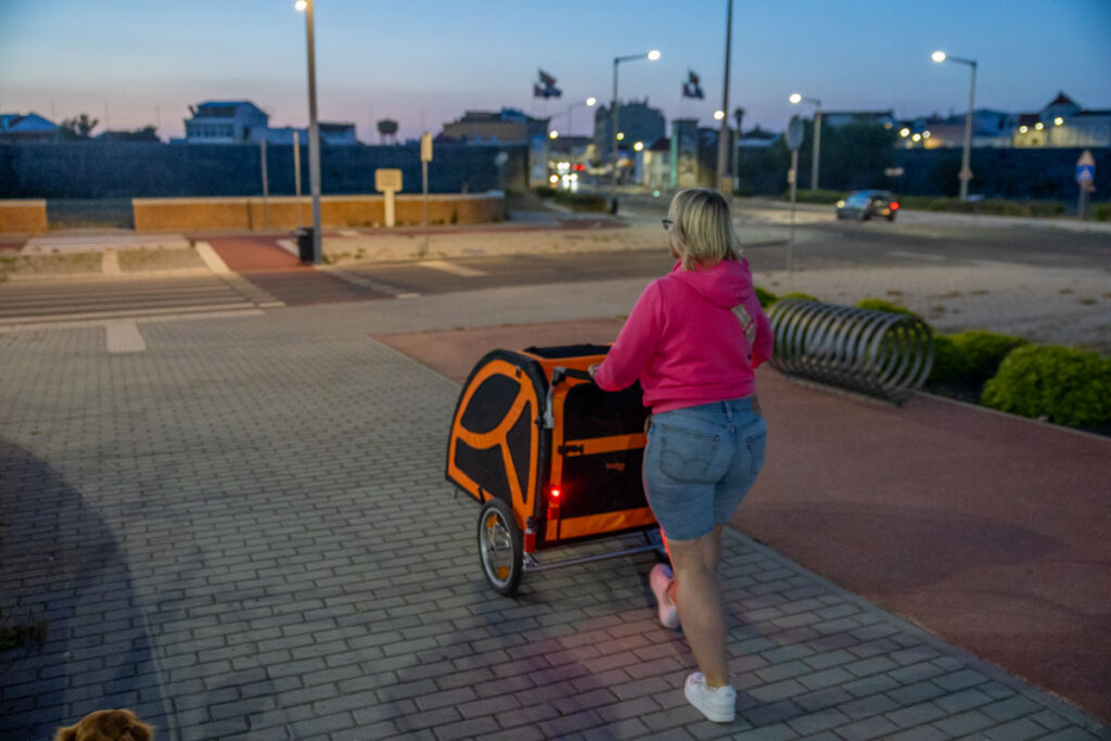 BX7A3160 Hundebuggy, Dogbus L, Trendpet, Bei Nacht