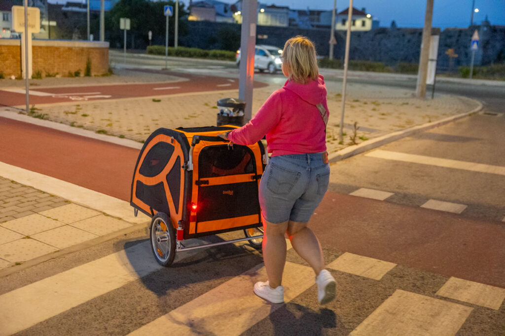 BX7A3163 Hundebuggy, Dogbus L, Trendpet, Bei Nacht