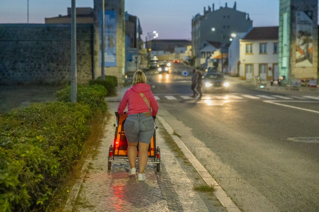 BX7A3166 Hundebuggy, Dogbus L, Trendpet, Bei Nacht