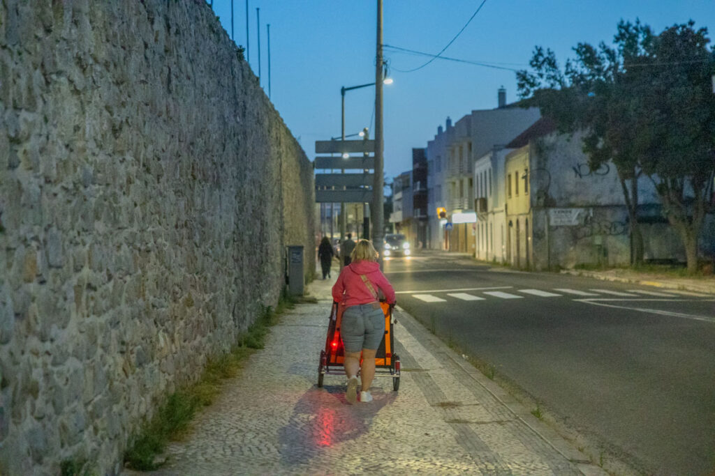 BX7A3169 Hundebuggy, Dogbus L, Trendpet, Bei Nacht