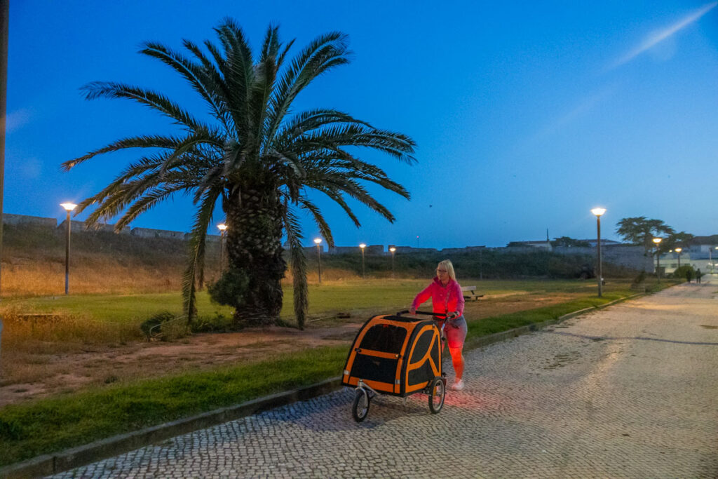 BX7A3170 Hundebuggy, Dogbus L, Trendpet, Bei Nacht