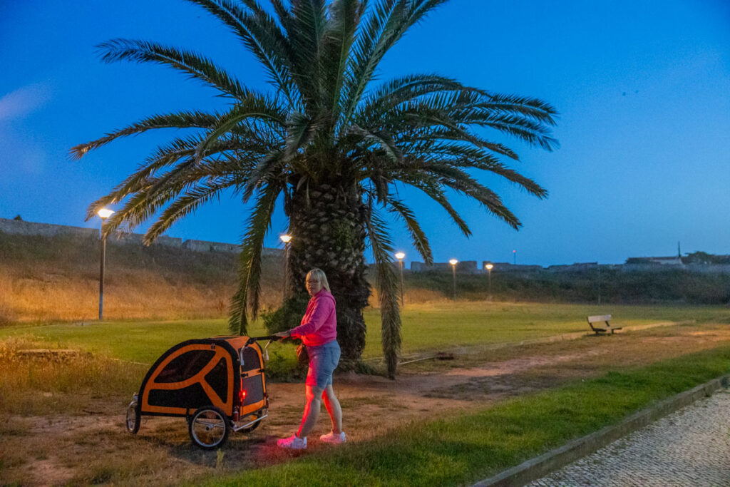 BX7A3171 Hundebuggy, Dogbus L, Trendpet, Bei Nacht