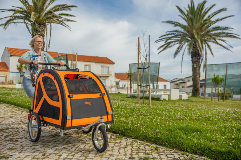 BX7A3178 Hundebuggy, Dogbus L, Trendpet, Strand