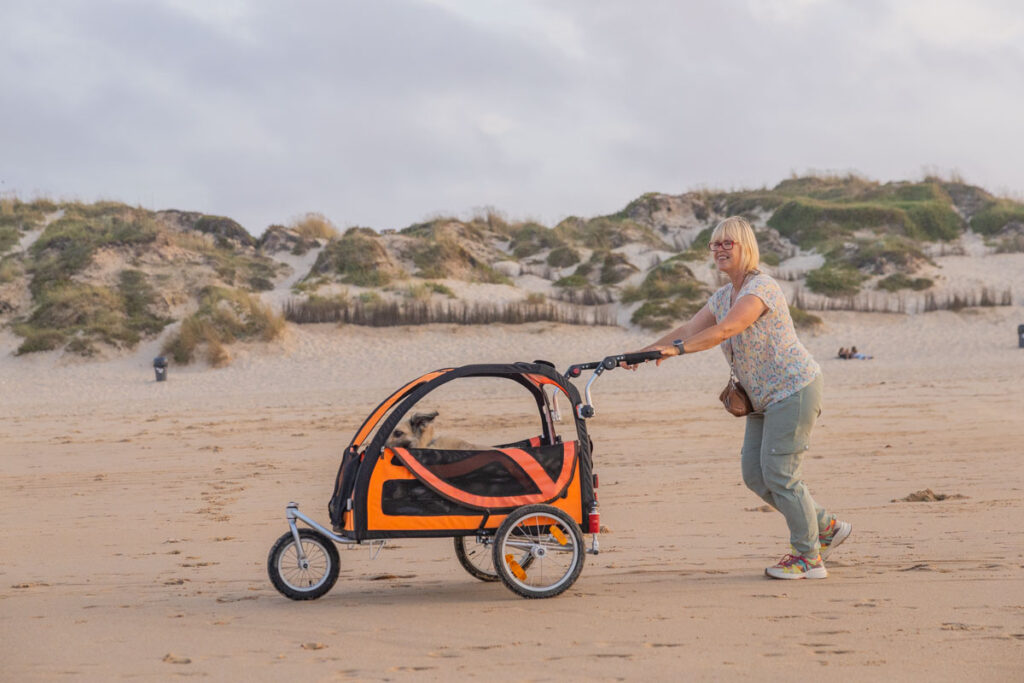 BX7A3307 Hundebuggy, Dogbus L, Trendpet, Strand