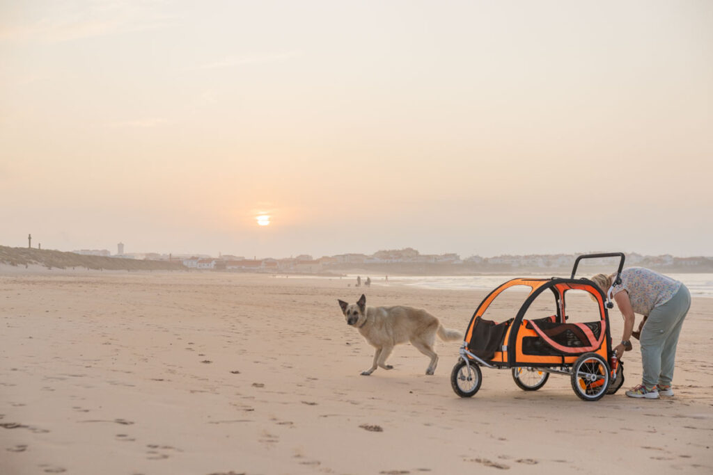 BX7A3329 Hundebuggy, Dogbus L, Trendpet, Strand