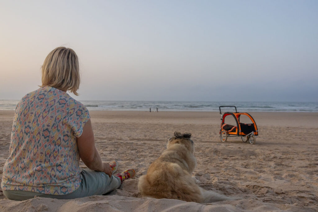 BX7A3358 Hundebuggy, Dogbus L, Trendpet, Strand