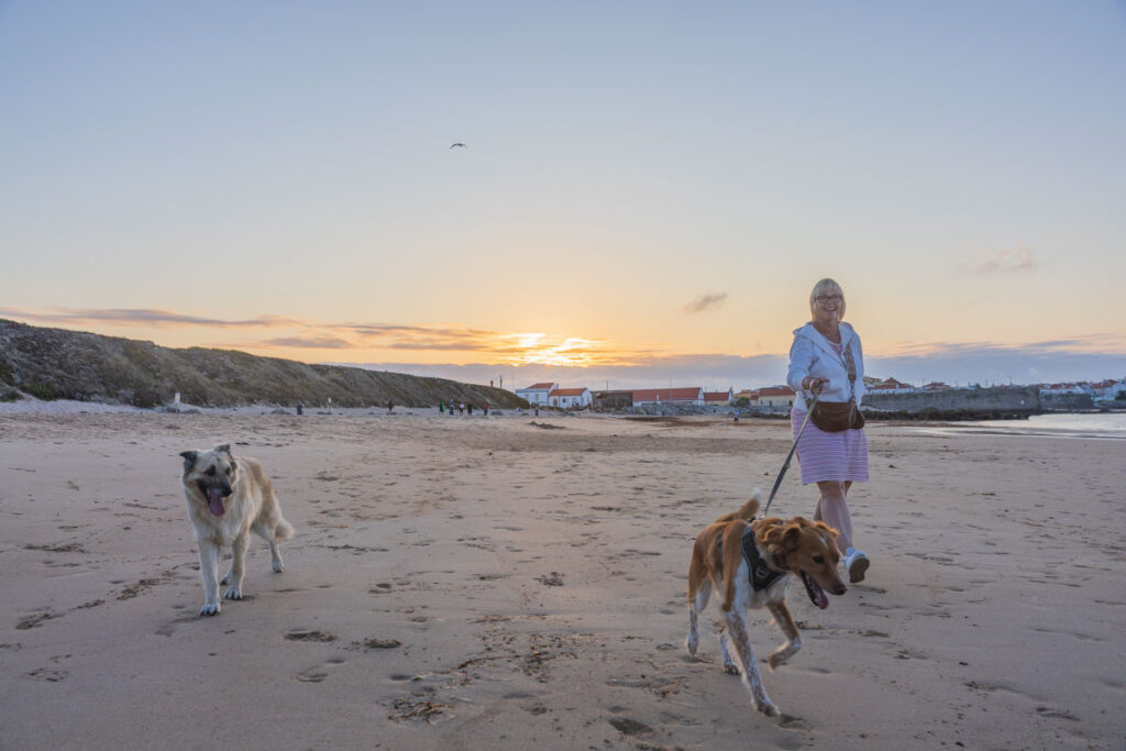 BX7A3551 Hundebuggy, Dogbus L, Trendpet, Strand