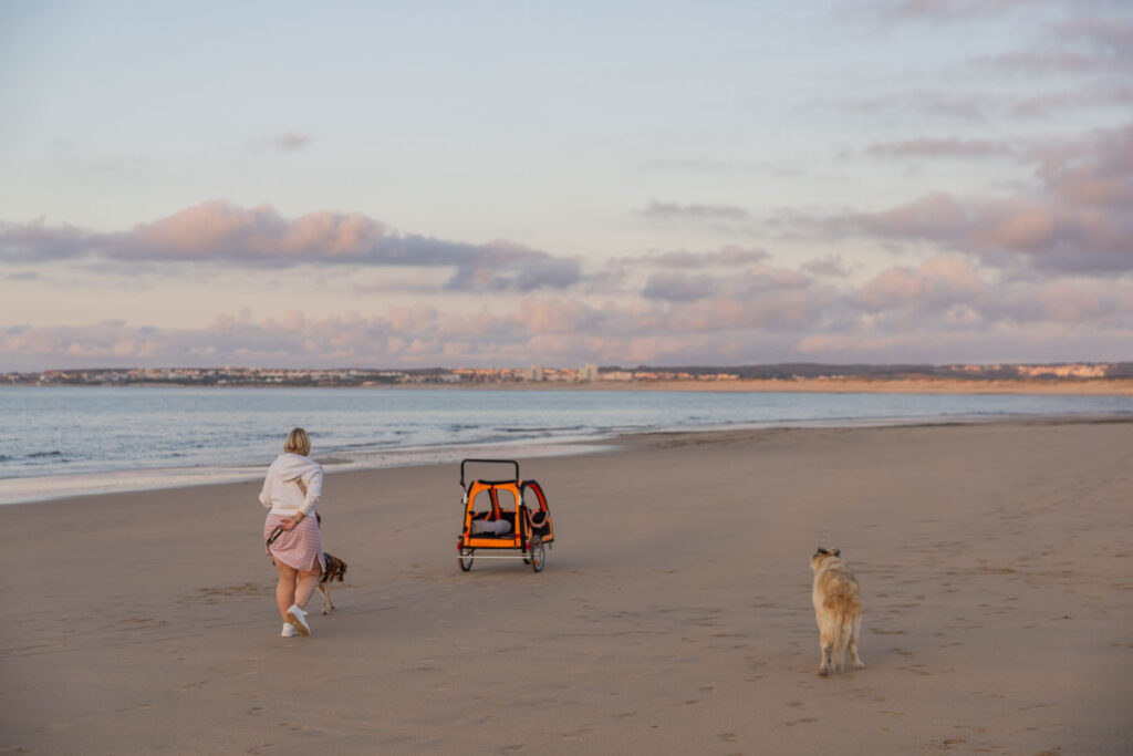 BX7A3554 Hundebuggy, Dogbus L, Trendpet, Strand