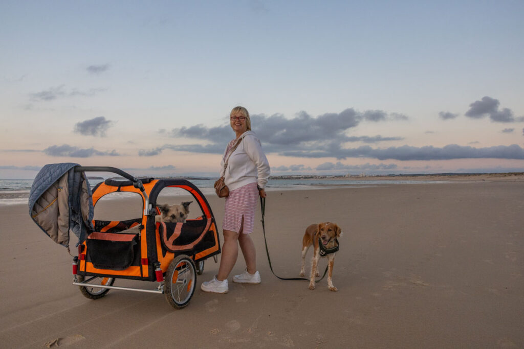 BX7A3594 Hundebuggy, Dogbus L, Trendpet, Strand