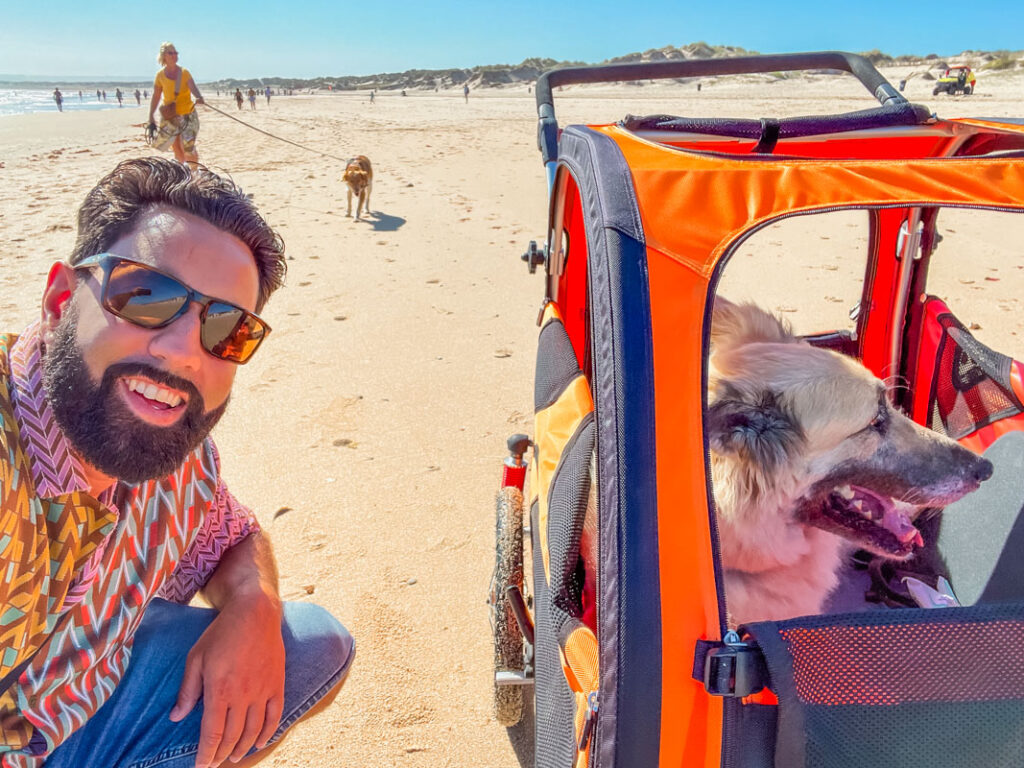 IMG_0622 Hundebuggy, Dogbus L, Trendpet,