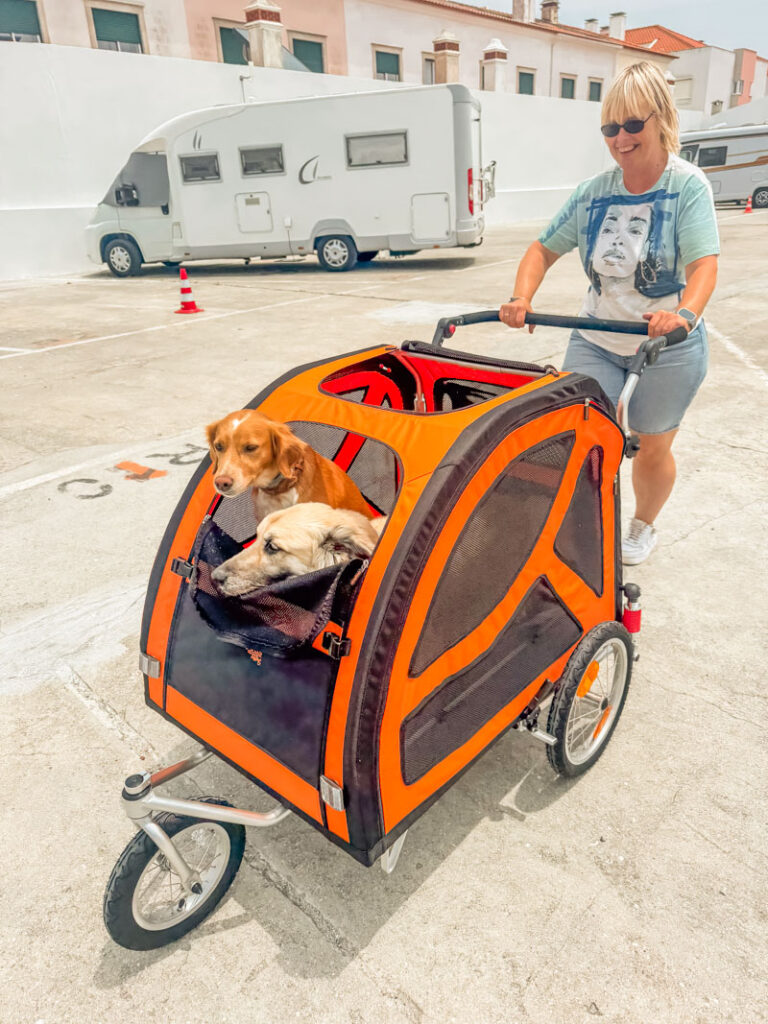 IMG_1729 Hundebuggy, Dogbus L, Trendpet,