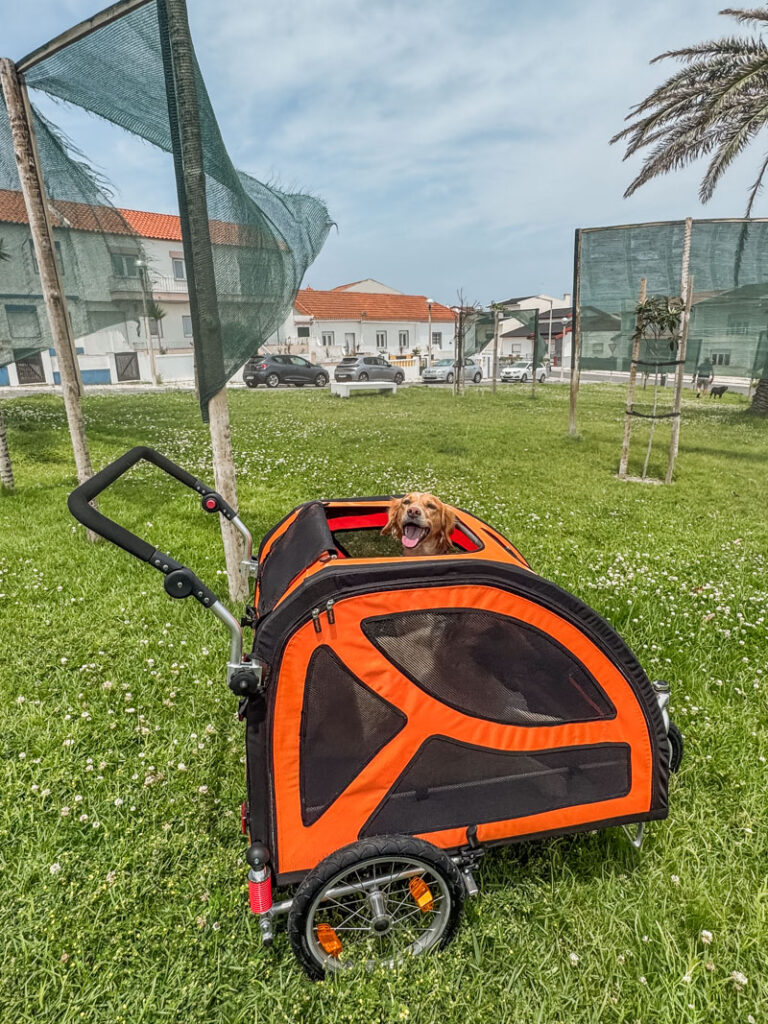 IMG_1749 Hundebuggy, Dogbus L, Trendpet,