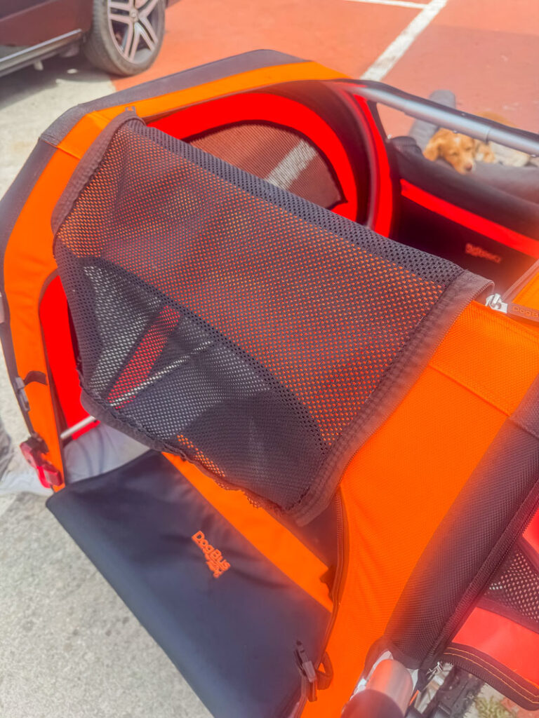 IMG_1797 svg+xml;charset=utf