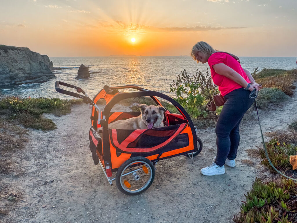 IMG_1966 Hundebuggy, Dogbus L, Trendpet,