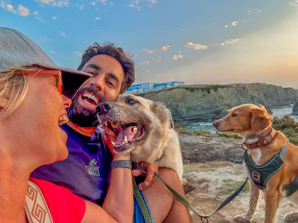 IMG_1977 Hundebuggy, Dogbus L, Trendpet,