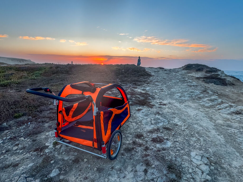 IMG_2250 Hundebuggy, Dogbus L, Trendpet,