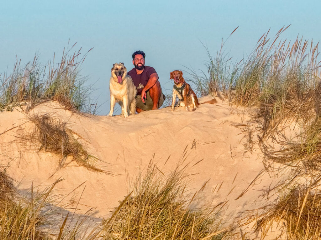 IMG_2295 Hundebuggy, Dogbus L, Trendpet,