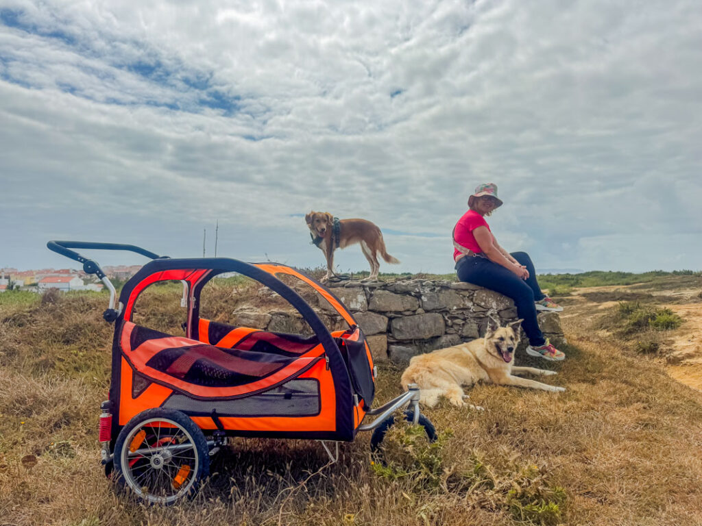 IMG_2459 Hundebuggy, Dogbus L, Trendpet,