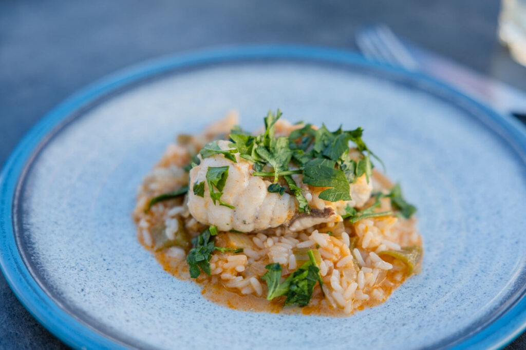 BX7A4031 Seeteufel mit Reis