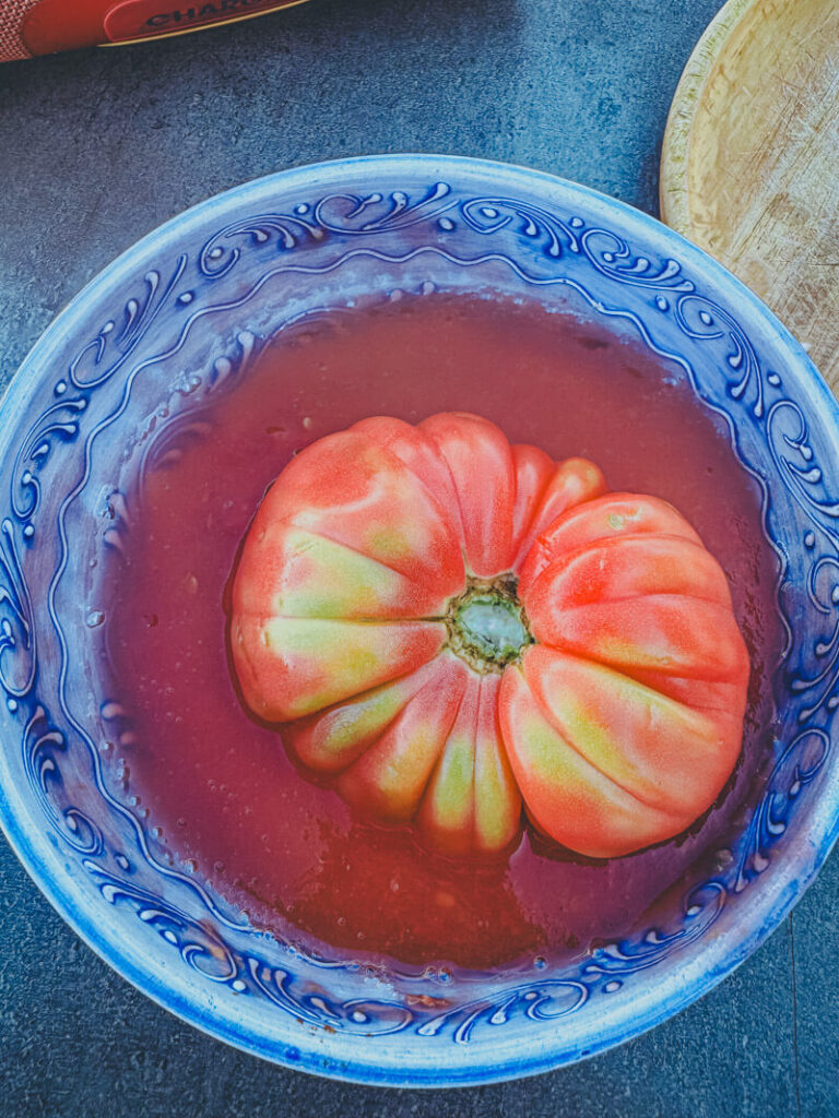 IMG_3901 svg+xml;charset=utf