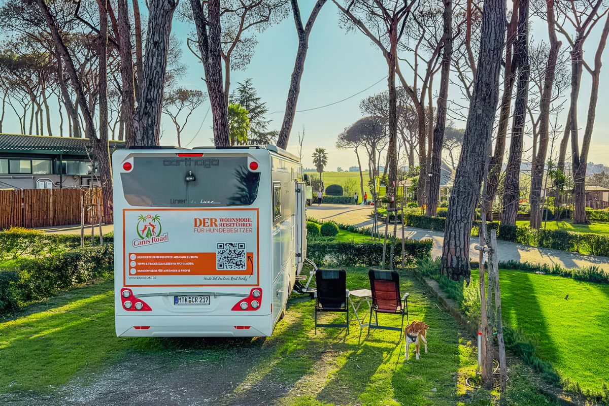 Italien mit dem Wohnmobil und Hund: 8 Tipps, die du vorher kennen solltest