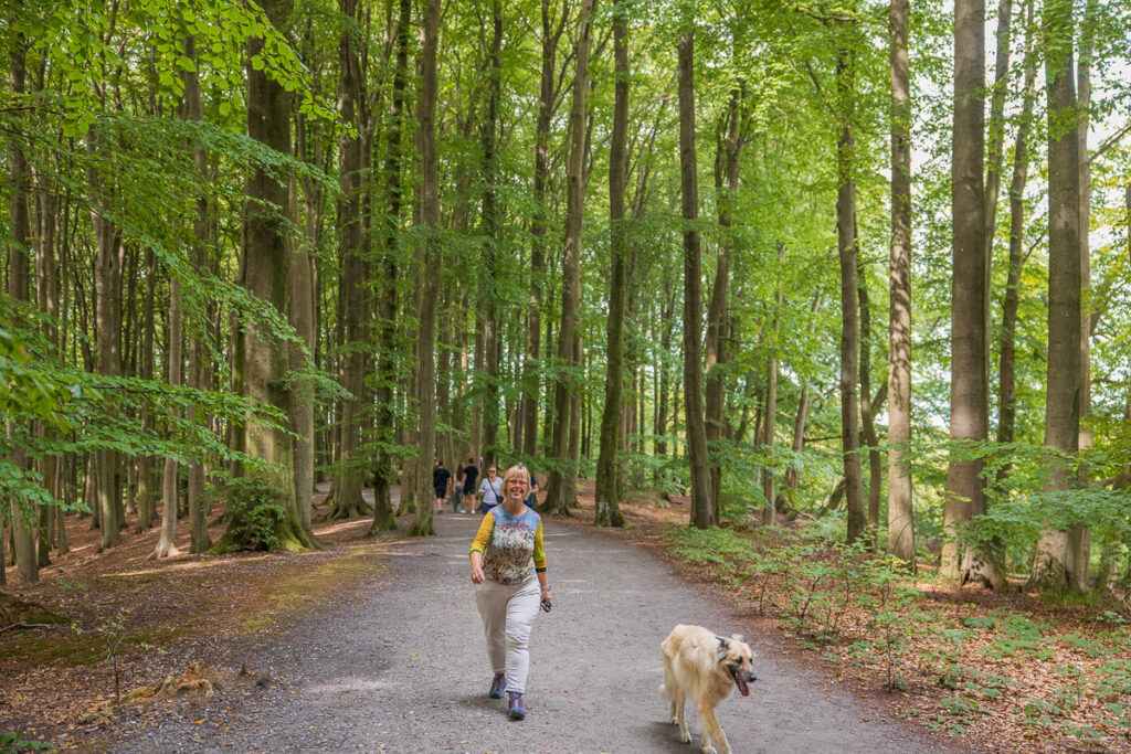BX7A4906 Der Wohnmobil Reiseführer für hundebesitzer, camping mit hund, die besten Wohnmobil stellplätz für hunde