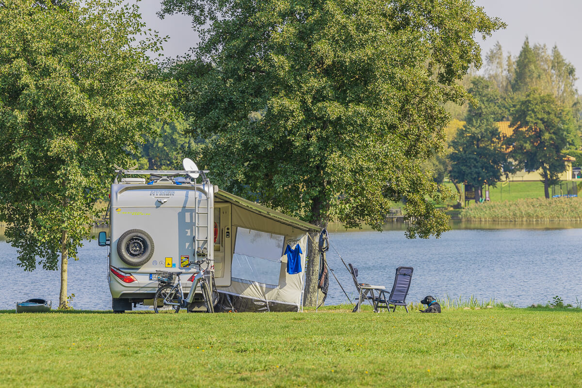 Camping mit Hund: 11 ehrliche Tipps für entspannte Reisen