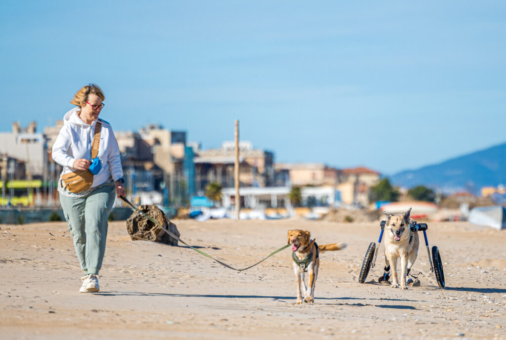 BX7A7009 italien mit dem wohnmobil und Hund, camping Italien, Wohnmobil Toskana