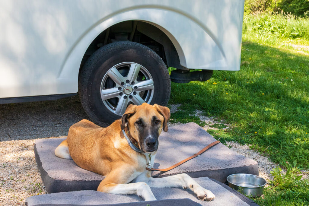 IMG_0967 Der Wohnmobil Reiseführer für hundebesitzer, camping mit hund, die besten Wohnmobil stellplätz für hunde