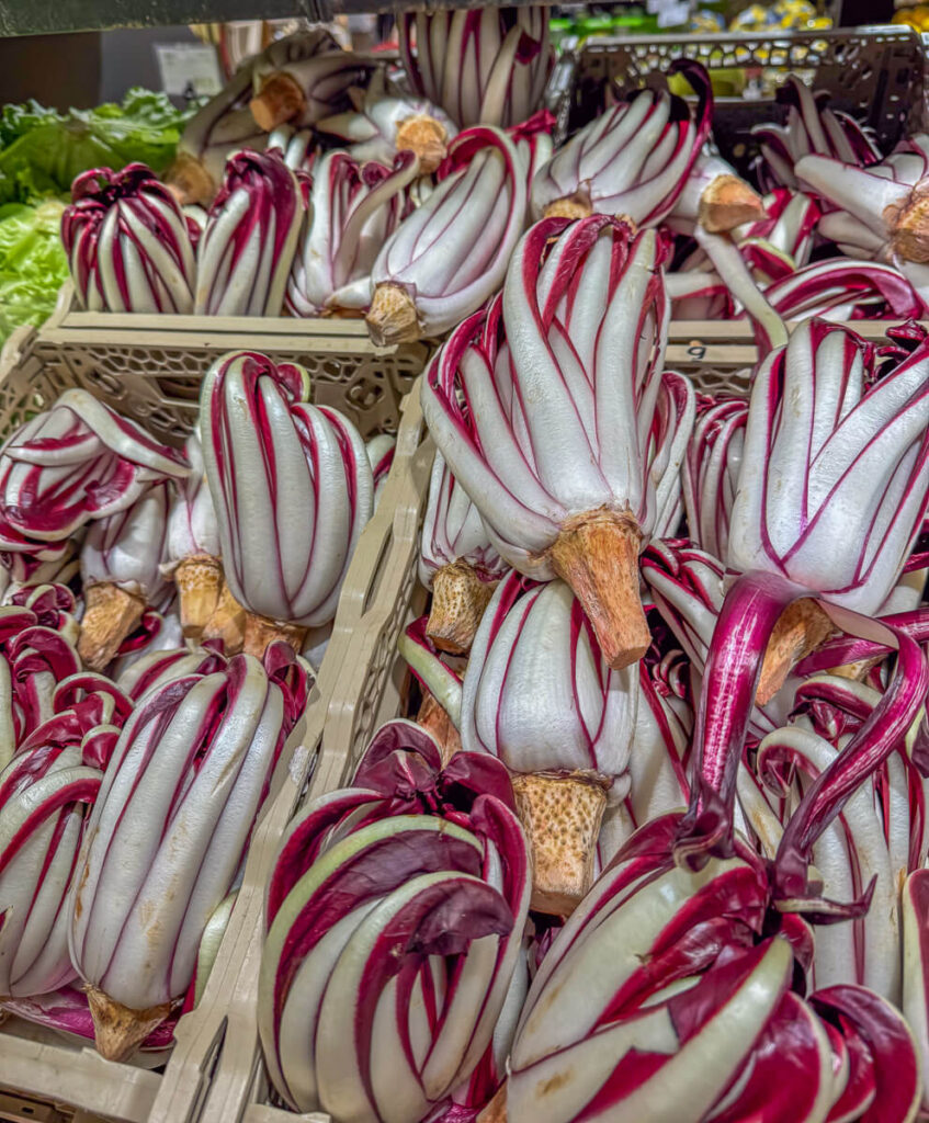IMG_2043 svg+xml;charset=utf